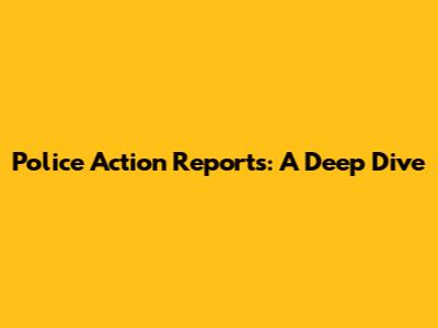 Police Action Reports: A Deep Dive
