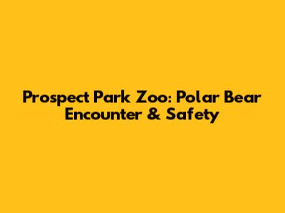 Prospect Park Zoo: Polar Bear Encounter & Safety
