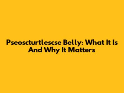 Pseoscturtlescse Belly: What It Is And Why It Matters