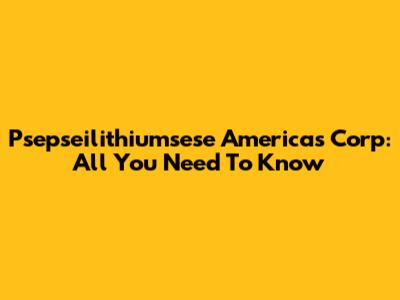 Psepseilithiumsese Americas Corp: All You Need To Know