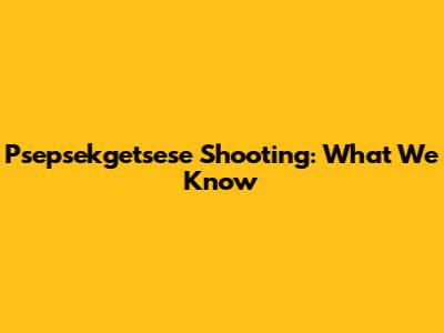 Psepsekgetsese Shooting: What We Know