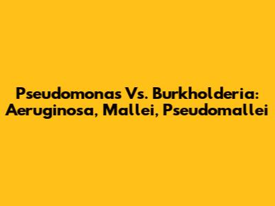 Pseudomonas Vs. Burkholderia: Aeruginosa, Mallei, Pseudomallei