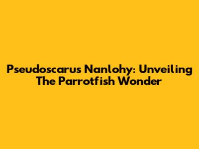 Pseudoscarus Nanlohy: Unveiling The Parrotfish Wonder