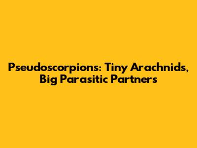 Pseudoscorpions: Tiny Arachnids, Big Parasitic Partners