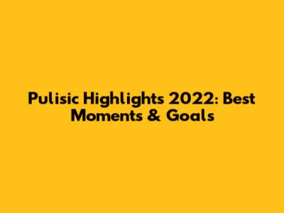 Pulisic Highlights 2022: Best Moments & Goals
