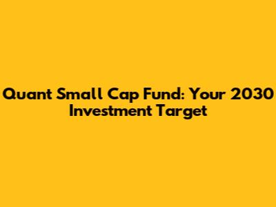 Quant Small Cap Fund: Your 2030 Investment Target