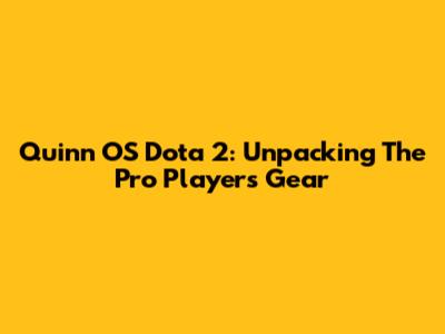 Quinn OS Dota 2: Unpacking The Pro Player's Gear
