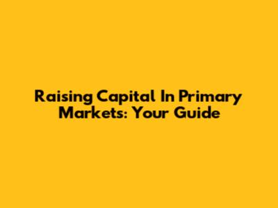 Raising Capital In Primary Markets: Your Guide
