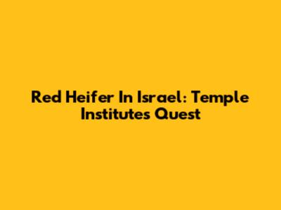 Red Heifer In Israel: Temple Institute's Quest