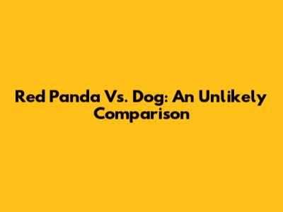 Red Panda Vs. Dog: An Unlikely Comparison