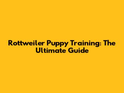 Rottweiler Puppy Training: The Ultimate Guide