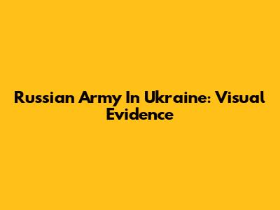 Russian Army In Ukraine: Visual Evidence