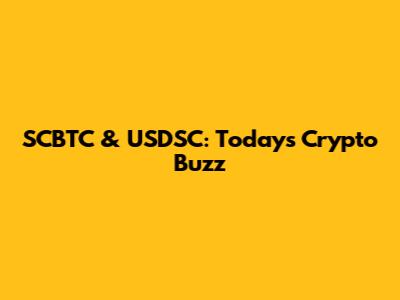 SCBTC & USDSC: Today's Crypto Buzz