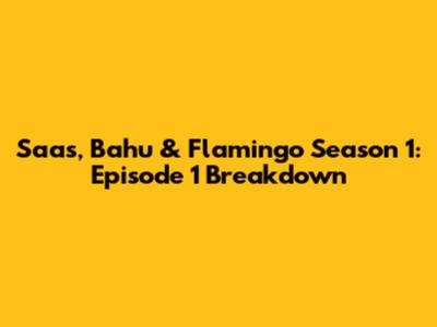 Saas, Bahu & Flamingo Season 1: Episode 1 Breakdown