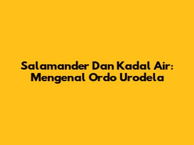 Salamander Dan Kadal Air: Mengenal Ordo Urodela