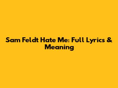 Sam Feldt Hate Me: Full Lyrics & Meaning