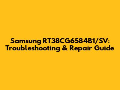 Samsung RT38CG6584B1/SV: Troubleshooting & Repair Guide