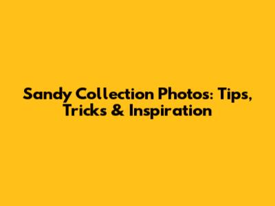 Sandy Collection Photos: Tips, Tricks & Inspiration