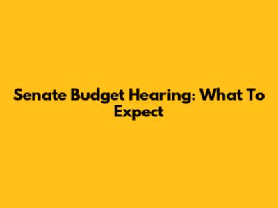 Senate Budget Hearing: What To Expect