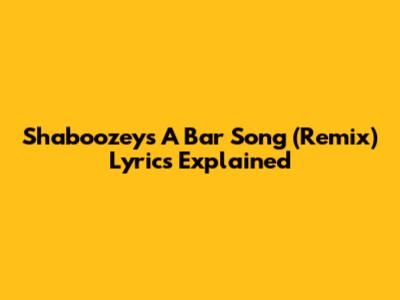Shaboozey's "A Bar Song (Remix)" Lyrics Explained
