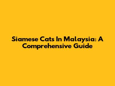 Siamese Cats In Malaysia: A Comprehensive Guide