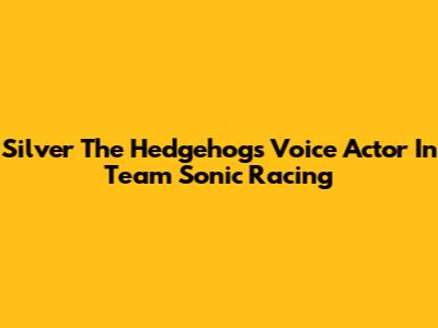 Silver The Hedgehog's Voice Actor In Team Sonic Racing