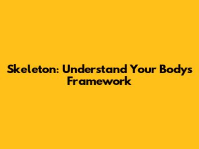 Skeleton: Understand Your Body's Framework