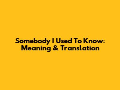 Somebody I Used To Know: Meaning & Translation