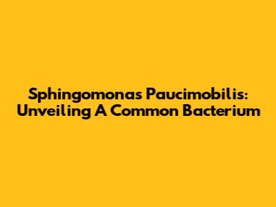 Sphingomonas Paucimobilis: Unveiling A Common Bacterium