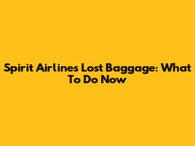Spirit Airlines Lost Baggage: What To Do Now