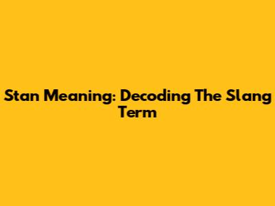 Stan Meaning: Decoding The Slang Term