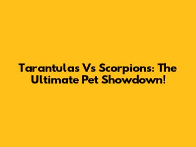 Tarantulas Vs Scorpions: The Ultimate Pet Showdown!