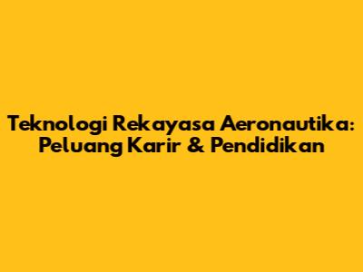 Teknologi Rekayasa Aeronautika: Peluang Karir & Pendidikan