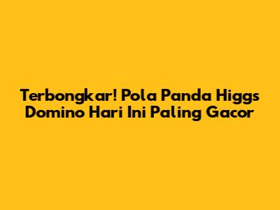 Terbongkar! Pola Panda Higgs Domino Hari Ini Paling Gacor