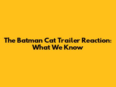 The Batman Cat Trailer Reaction: What We Know