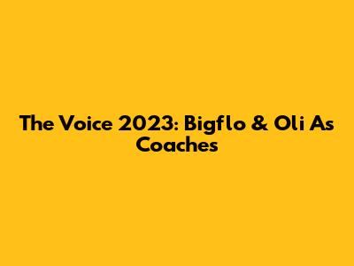 The Voice 2023: Bigflo & Oli As Coaches