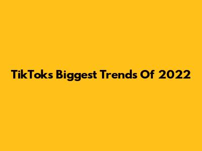 TikTok's Biggest Trends Of 2022