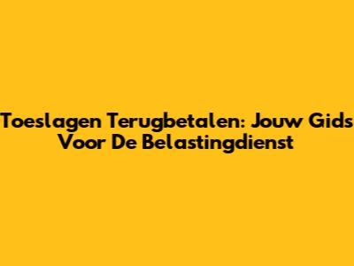 Toeslagen Terugbetalen: Jouw Gids Voor De Belastingdienst