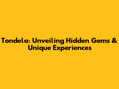 Tondela: Unveiling Hidden Gems & Unique Experiences