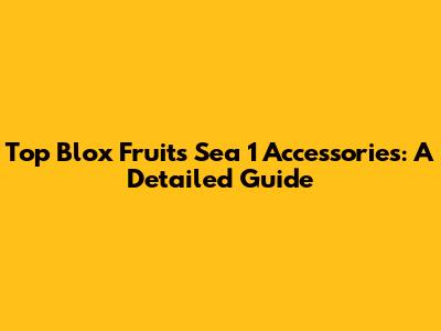 Top Blox Fruits Sea 1 Accessories: A Detailed Guide