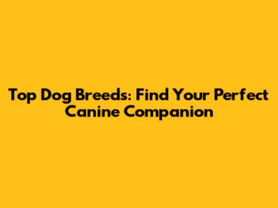 Top Dog Breeds: Find Your Perfect Canine Companion