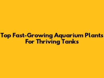 Top Fast-Growing Aquarium Plants For Thriving Tanks