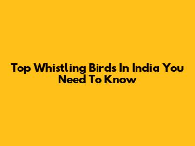 Top Whistling Birds In India You Need To Know