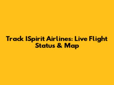 Track ISpirit Airlines: Live Flight Status & Map