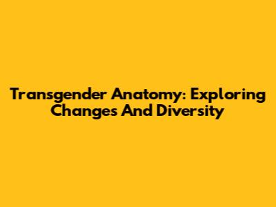 Transgender Anatomy: Exploring Changes And Diversity