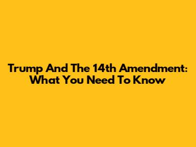 Trump And The 14th Amendment: What You Need To Know