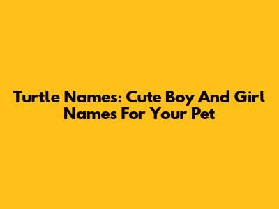 Turtle Names: Cute Boy And Girl Names For Your Pet