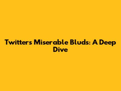 Twitter's Miserable 'Bluds': A Deep Dive