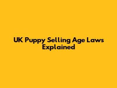 UK Puppy Selling Age Laws Explained