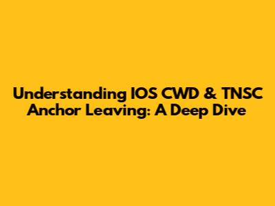 Understanding IOS CWD & TNSC Anchor Leaving: A Deep Dive